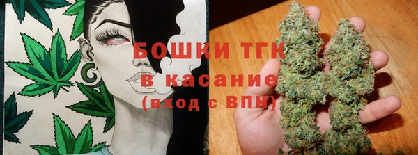 СК Аркадак