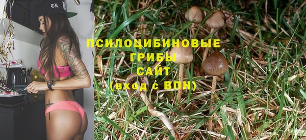 СК Аркадак