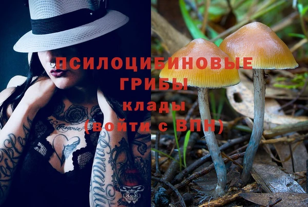 мдпв Балабаново